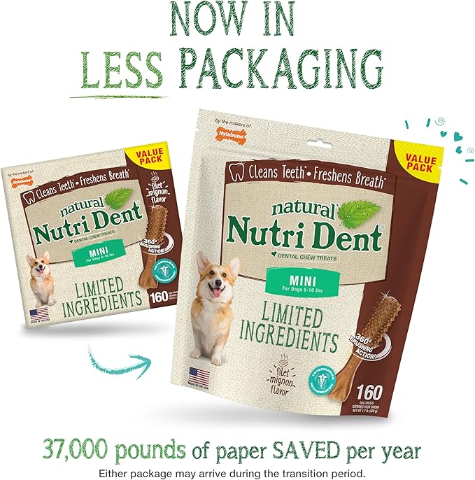 Nylabone Nutri Dent Dog Dental Chews - Natural Dog Teeth Cleaning & Breath Freshener - Dental Treats for Dogs - Filet Mignon Flavor, Mini (160 Count)-Mewly Pet