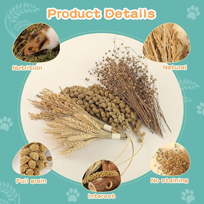 Hamster Spray Set - Natural Snack Grains & Chew Toys for Cage Decoration Accessories, Soft Bedding for Dwarf Syrian Hamsters, Gerbils, Mice & Small Pets-Mewly Pet