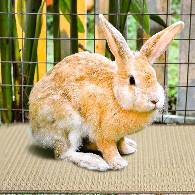 2Pcs Rabbit Scratch Mat,16 x 12 Inch Sisal Rabbit Scratching Pad,Rabbits Scratching Mats for Cages,Claws and Teeth Care Rabbits Chew Toys,Small Pet Bedding for Biting Sleeping Nesting-Mewly Pet