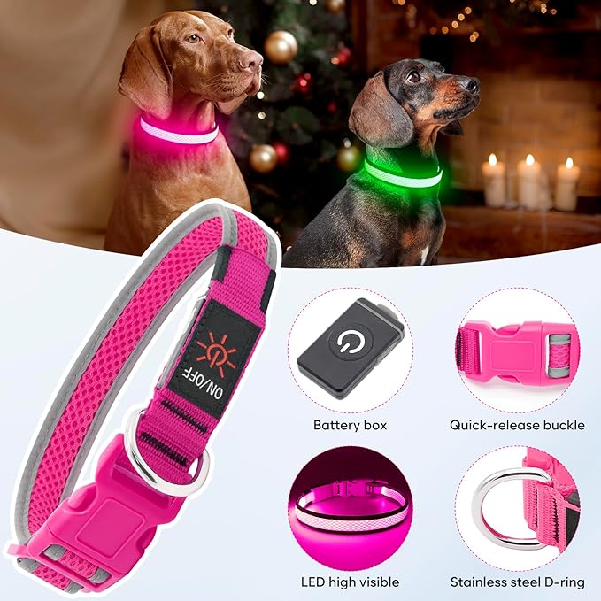 Flashseen LED Dog Collar, USB Rechargeable Light Up Dog Collar Lights, Adjustable Comfortable Soft Mesh Safety Pet Collar for Small, Medium, Large Dogs (Large, Candy Pink)-Mewly Pet