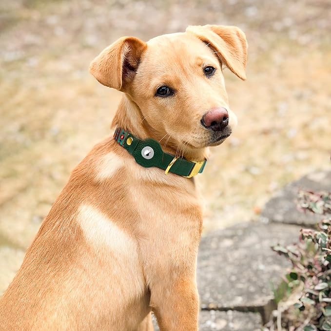 AirTag Dog Collar for Small Medium Large Breed - Adjustable Cute Pattern Dog Collar with Airtag Holder - Soft Leather Tracker GPS Apple Air Tag Pet Collars (Small, 12"-15" Neck Fit, Tribal)-Mewly Pet