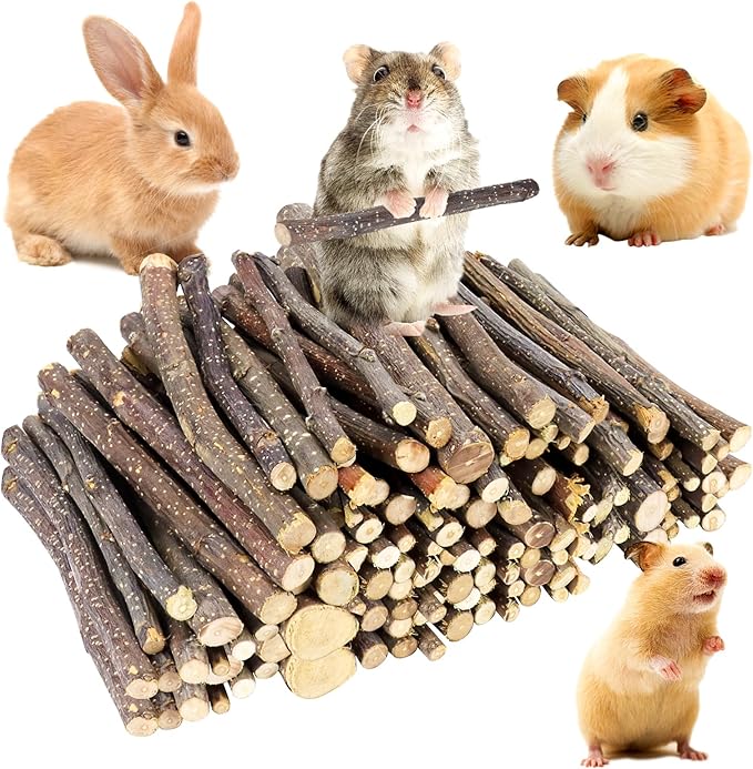 600g Small Apple Sticks Animals Molar Wood Treats Toys for Rabbits Chinchillas Guinea Pig Hamster Gerbil Parrot Bunny Chew Stick Toys Treats, 21.2 OZ-Mewly Pet