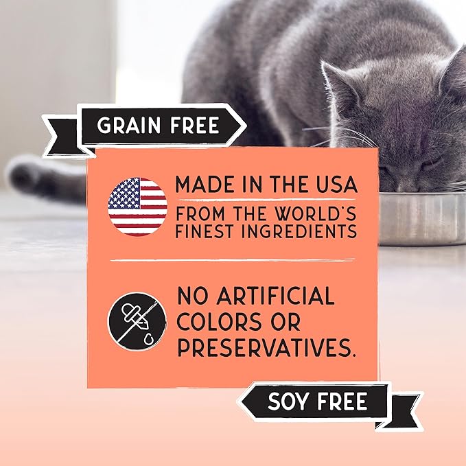 Blackwood Bounty Dry Cat Food, Salmon & Rainbow Trout Recipe for All Life Stages, 4.5 Pound Bag, High Protein, Grain Free-Mewly Pet