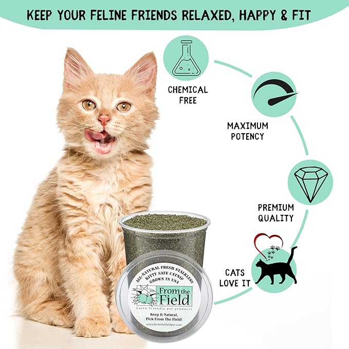 from The Field | Fine Ground Stalkless Catnip | Premium USA-Grown Catnip for Toys & Playtime | Fresh, Potent, Non-Toxic, Eco-Friendly | Safe for Kittens & Cats | Resealable 3 Oz Bag-Mewly Pet