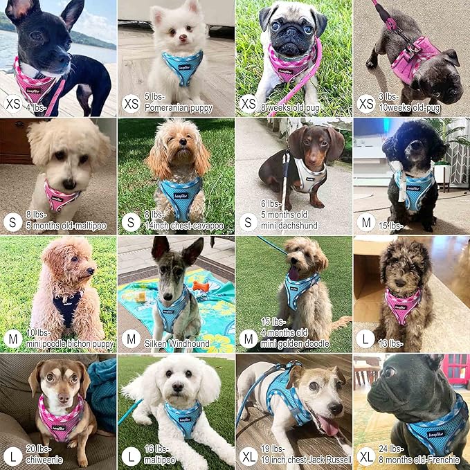 haapaw Dog Harness with Leash Set, No Pull Adjustable Reflective Step-in Puppy Harness with Thickened Padded Vest for Extra-Small/Small Medium Dogs-Mewly Pet