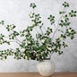 6 Pcs Tall Artificial Flowers Branches for Spring Indoor Decoration, 63 Inch Fake Faux Flowers with Long Stems for Vase Wedding Home Party Table Centerpieces (Rattan Guanyin Lotus)