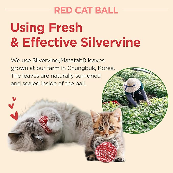 JAYU PET Red Cat Ball [W/O Bell Version] - Handmade Silvervine Cat Toy with Catnip, Interactive Matatabi Ball for Indoor Cats & Kittens, Feline Play Toy & Gift (2.7 inch)-Mewly Pet