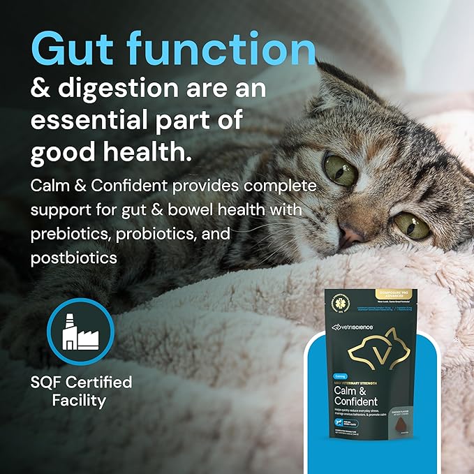VetriScience Veterinary Strength Calm & Confident Chews - Stress Supplement for Cats - Supports Brain Function for Cats - with L-Theanine, Thiamine & More - 45 Count-Mewly Pet