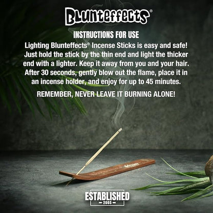 Blunteffects Hand-Dipped Incense Sticks - Premium 180-Pack Variety Set, 15 Different Scents, 11" Long, USA-Made Aromatherapy with Long Burn Time (15 Pack, 180 Total Sticks)