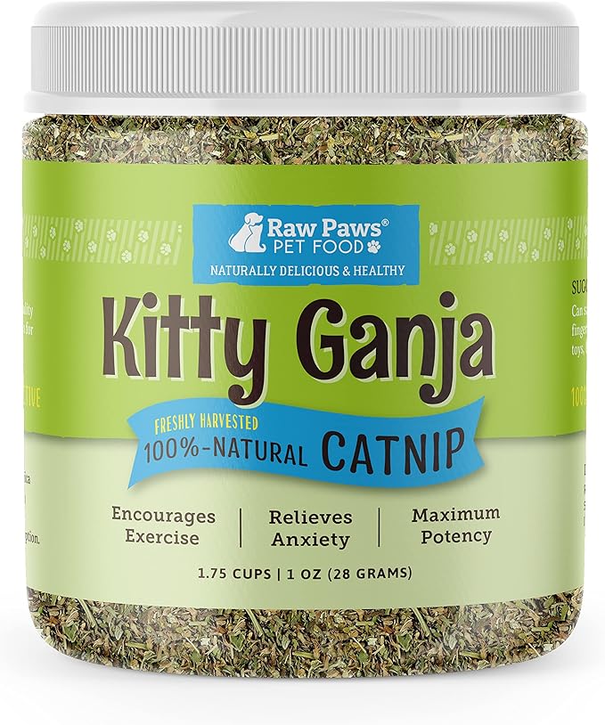 Raw Paws Fresh Catnip for Cats, 1-oz (2 Cups) - Use for Refillable Catnip Toys for Cats - Natural Dried Cat Nip-Mewly Pet