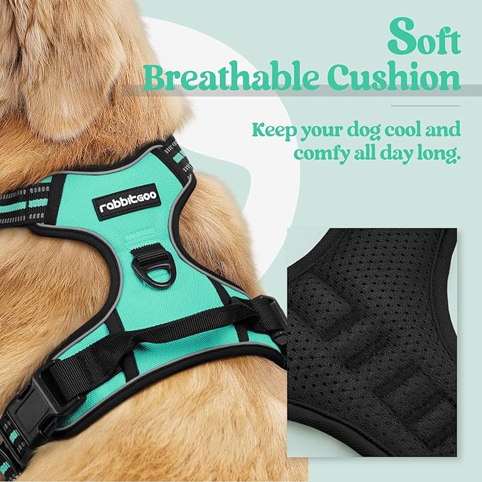 rabbitgoo Dog Harness No Pull with 2 Leash Clips, Adjustable Soft Padded, Reflective Oxford No Choke Pet Vest with Easy Control Handle for Medium Sized Dogs, Turquoise, M-Mewly Pet