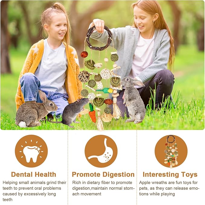 VESPRO Bunny Chew Toys, Rabbit Cage Hanging Chewing Toy and Treats Snack Ring, for Rabbits Chinchilla Guinea Pig Hamsters Grinding Teeth with Other Small Pets, Natural Materials Handwoven (5 Strings)-Mewly Pet