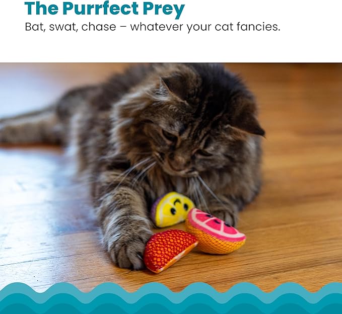 Catstages Dental Fruit Wedges 4 Pk, Soft and Textured Catnip Chew Toys That Help Clean Teeth, Multicolored-Mewly Pet