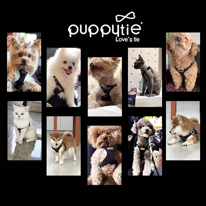 Puppytie No Pull Small Dog Harness with Multifunction Dog Leash,Lightweight Soft Adjustable No Choke Escape Proof Pet Harness Vest Pet Harness Vest,Black,M-Mewly Pet