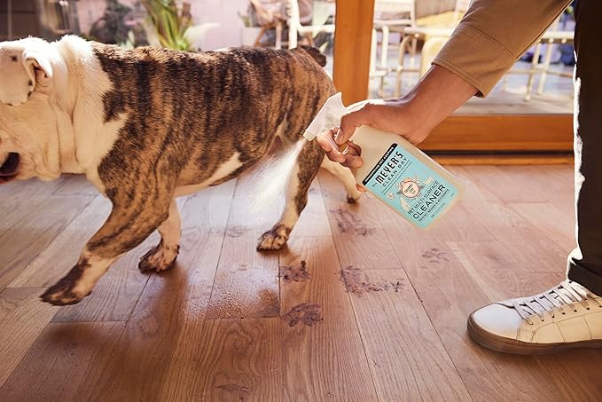 Mrs. MEYER'S CLEAN DAY Pet Multi-Surface Cleaner, Coconut Leaf Scent, 16oz-Mewly Pet