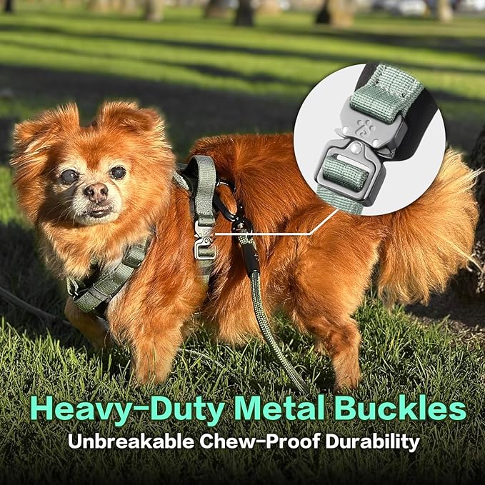 CLEPAWS Dog Harness for Medium Dogs, No Pull Dog Harness Easy Walk with Metal Hardware, Ergonomic Y-Shaped Design, Soft Padding, Padded Handle, Durable High-Tensile Nylon (Seabreeze, M)-Mewly Pet