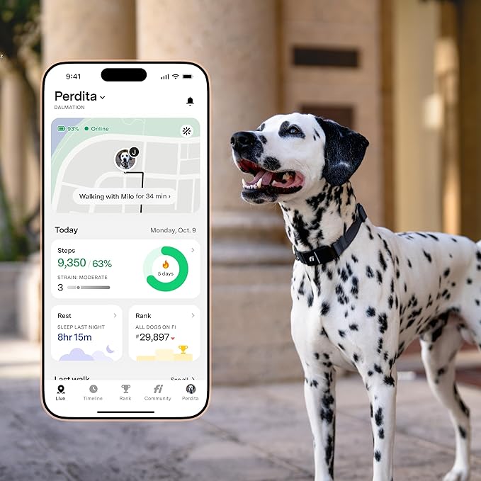 New Fi Series 3+ Smart Dog Tracker Collar – AI GPS for Dogs, Health & Behavior Monitor, Virtual Fence, Escape Alerts, Waterproof, Apple Watch Compatible 12Mo Membership Included-Mewly Pet