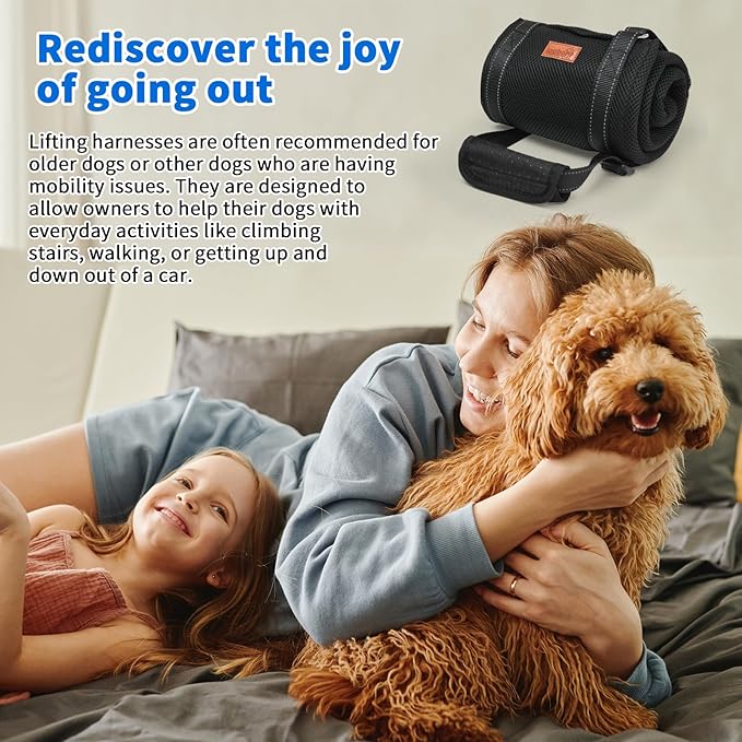 LOOBANI Dog Lift Harness | Portable Dog Sling for Large Dogs Hind Leg Support - Help Lift Back Legs for Up and Down Stairs, Canine Aid and Old K9 Cruciate Ligament Rehabilitation-Mewly Pet