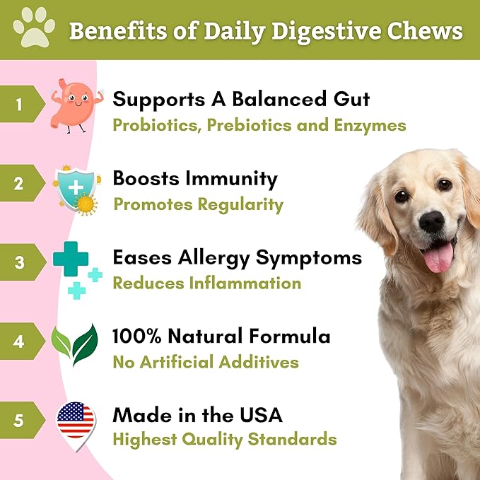 Wholistic Pet Organics: Probiotic Chews for Dogs Digestive Health - 60 Count - Dog Probiotics and Digestive Enzymes - Support Gut Health Immune Supplement Prevents Dog Digestive Problems-Mewly Pet