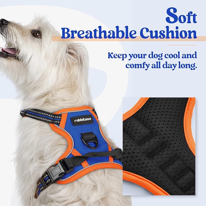 rabbitgoo Dog Harness No Pull with 2 Leash Clips, Adjustable Soft Padded, Reflective Oxford No Choke Pet Vest with Easy Control Handle for Puppy, Blue & Orange, XS-Mewly Pet