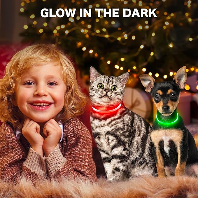 BSEEN Light Up Dog Collar - Rainproof LED Dog Collar Rechargeable - TPU Cuttable Glowing Puppy Collar for Small Dogs& Cats, High Visibility Safety Dog Lights for Night Walking (XS-Red 40cm)-Mewly Pet