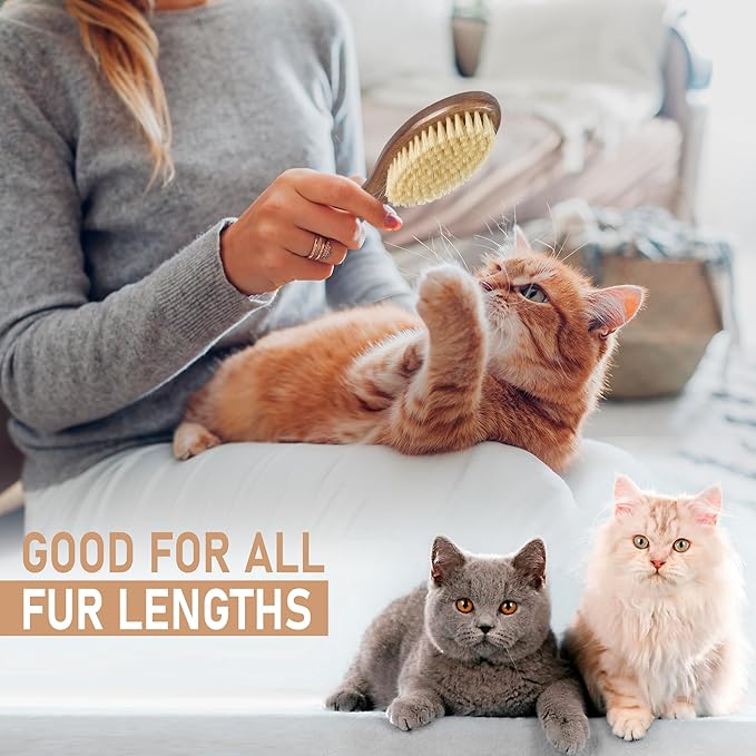 Takavu Natural White Boar Bristle Cat Brush - Gentle Grooming Tool for Sensitive Skin, Smoothing Fur & Healthy Shine - Soft Pet Brush-Mewly Pet