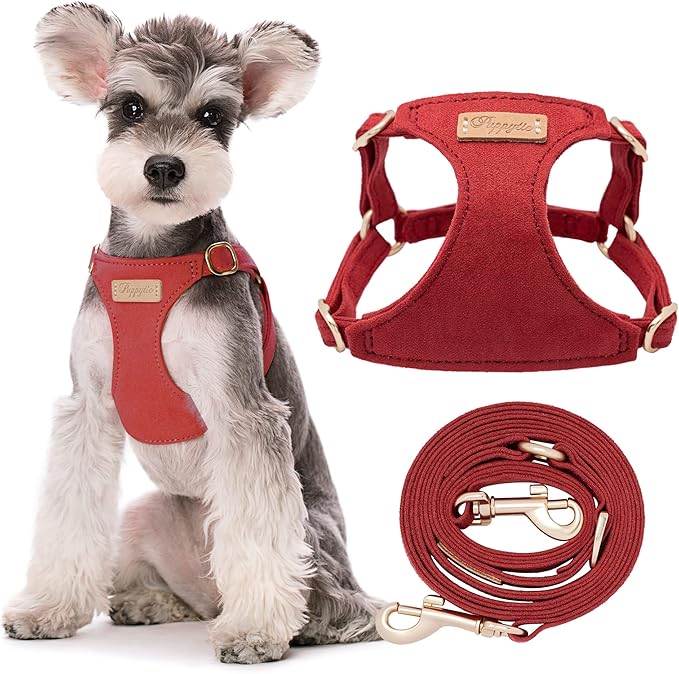 Puppytie No Pull Dog Harness with Multifunction Dog Leash,Soft Adjustable No Choke Escape Proof Pet Harness Vest for Medium Dogs or Large Dogs,red Hawthorn,M-Mewly Pet