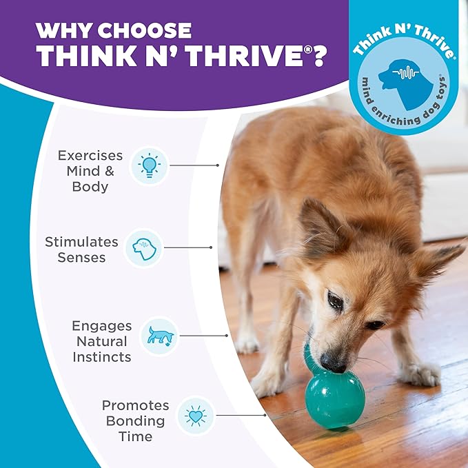 Outward Hound by Planet Dog Double-Tuff Interactive Treat-Dispensing Dog Toy, Medium, Blue-Mewly Pet