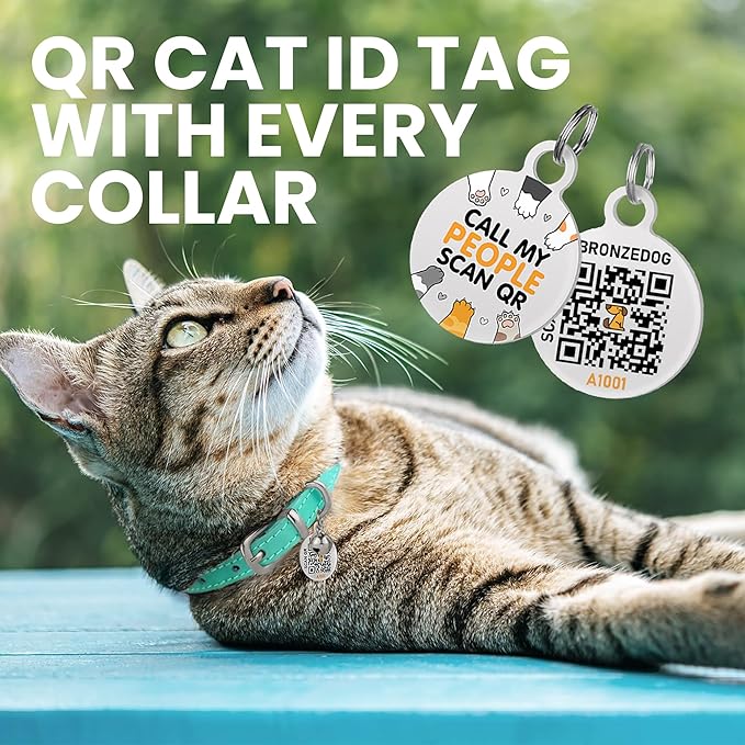 BRONZEDOG Leather Cat Collar with Removable Bells Non Breakaway Kitten QR Tag for Girl Boy (7" - 9" for Cats, Turquoise & Silver)-Mewly Pet