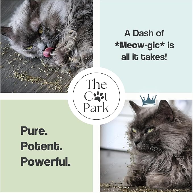 Organic Catnip for Cats & Kittens – 1.76 oz Premium Natural Catnip, High Potency Blend for Playtime, Training, and Stress Relief, 2 Cups of Dried Cat Nip Leaves-Mewly Pet