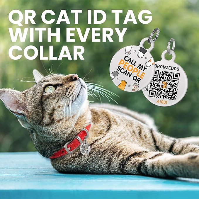 BRONZEDOG Leather Cat Collar with Removable Bells Non Breakaway Kitten QR Tag for Girl Boy (7" - 9" for Cats, Red & Silver)-Mewly Pet