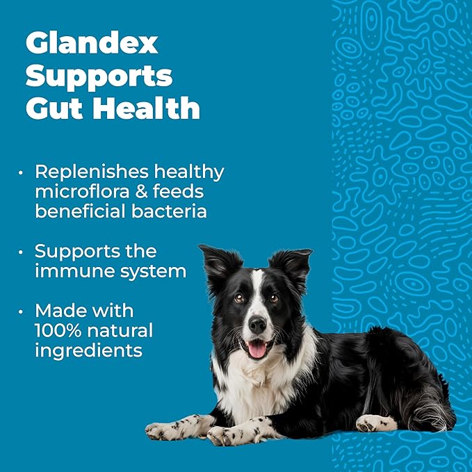 Vetnique Glandex Daily Probiotics for Dogs with Prebiotics to Support Gut Health with Fiber and Digestive Enzymes, Probiotic Chews or Powders (30ct Chews, Bacon Chews)-Mewly Pet