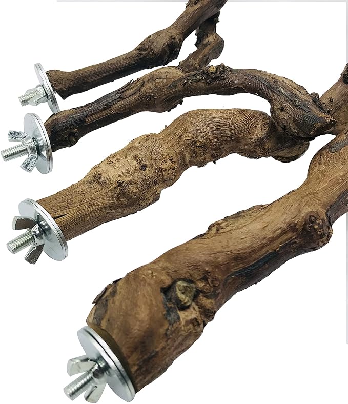 Allazone 4-Piece Bird Perch - Natural Grapevine Stick Swing Chewing Toys for Parrot Cages, Cockatiels, Parakeets, Finches-Mewly Pet