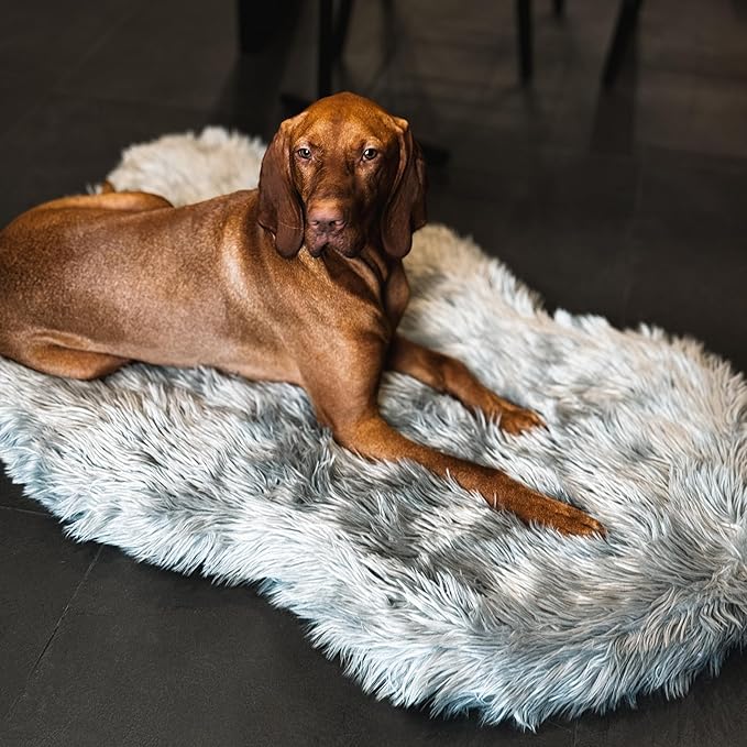 IHAPPYDOG Luxury Faux Fur Orthopedic Dog Bed, Memory Foam Dog Bed for Small, Medium, Large and XL Pets, Fluffy Pet Bed with Waterproof and Washable Cover (Grey, 50"x30")-Mewly Pet