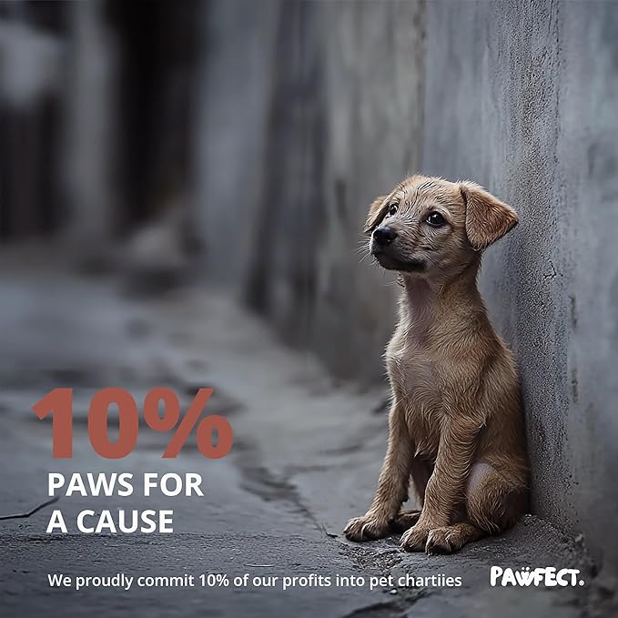 Pawfect Dog Poop Bags Rolls - Biodegradable Doggie Bags, Compostable Dog Waste Bags, BPI Certified Pet Waste Bags, Unscented, Large, Puppy Poo, Earth Friendly, Bolsas de Basura (480 counts)-Mewly Pet