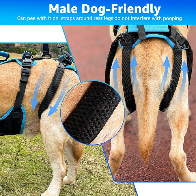 Dog Lift Harness for Large Male Dogs, 2-in-1, Back Leg Support & Mobility Assistance for Senior Dogs, Post-Surgery Recovery Sling(Black, Large)-Mewly Pet