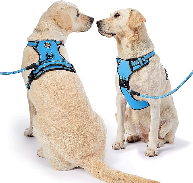 NESTROAD No Pull Dog Harness,Adjustable Oxford Dog Vest Harness with Leash,Reflective No-Choke Pet Harness with Easy Control Soft Handle for Small Dogs(X-Small,Blue)-Mewly Pet