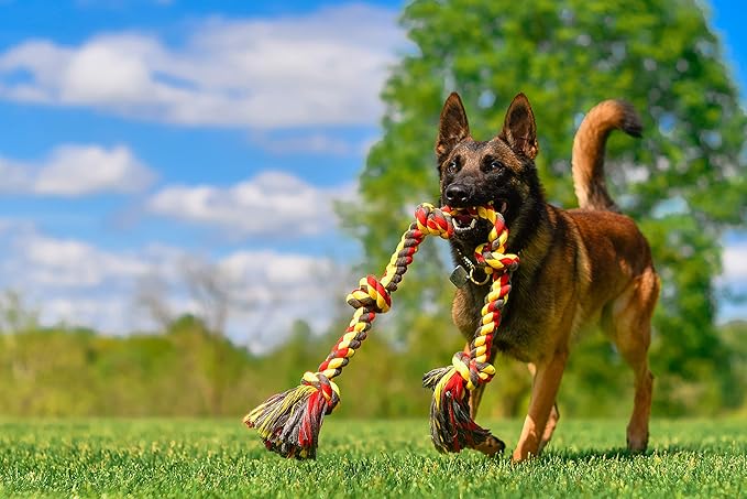 Mammoth Flossy Chews Multi Color 5 Knot Rope Tug – Premium Cotton-Poly Tug Toy for Dogs – Interactive Dog Rope Toy – Tug Dog Chew Toy for Big Dogs - X-Large, 36”-Mewly Pet