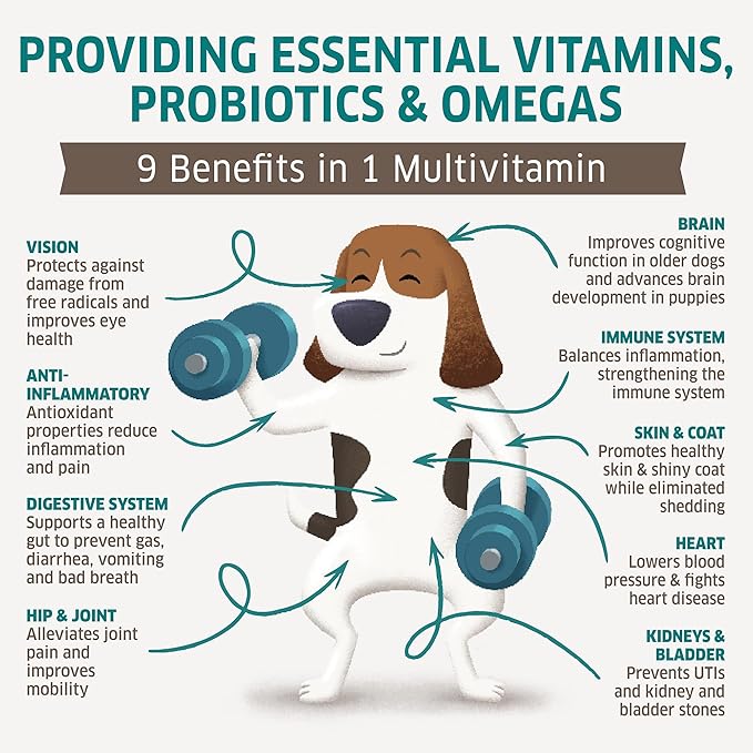 Dog Multivitamin - Dog Vitamins and Supplements - Digestive Enzymes & Probiotics - Probiotics for Dogs - for Skin and Coat Allergies - Immune System & Overall Health - 120 Soft Chew Dog Treats-Mewly Pet