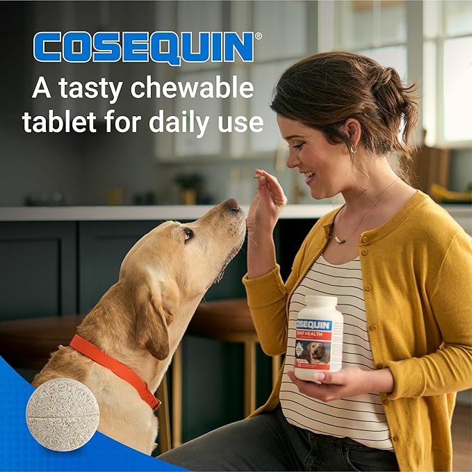 Nutramax Cosequin Maximum Strength Joint Health Supplement for Dogs - With Glucosamine, Chondroitin, and MSM, 60 Chewable Tablets-Mewly Pet