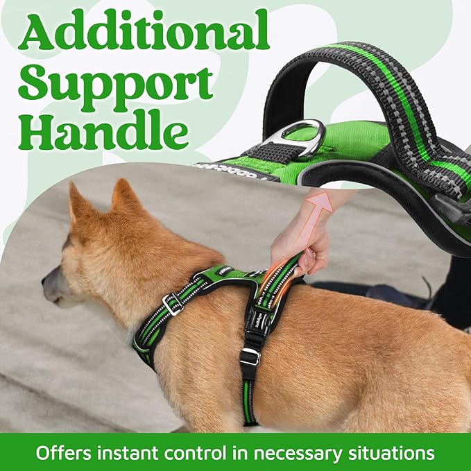 rabbitgoo Dog Harness for Large Dogs, No Pull Pet Vest with 3 Buckles, Adjustable Soft Padded Pet Harness with Easy Control Handle and Reflective Strips, Green, XL-Mewly Pet