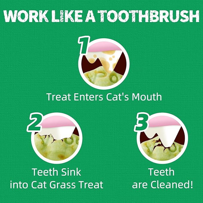 Just Try 13.4 OZ Crunchy Cat Treats Catnip Treats for Cats with Digestive Support, Natural Ingredients Kitten Treats with Real Salmon, Healthy Feline Snacks Training Biscuits Dental Care-Mewly Pet