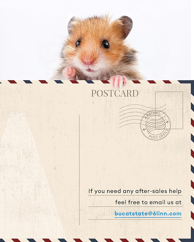 BUCATSTATE Hamster Cage Metal 3.0 - Chewproof Large Rat Cage Stackable with Top Access Easy Assemble 47L x 23.6W x 25.5H Inches Dwarf Syrian Hamster Tank for Gerbil Mouse (7.75 ft², Black)-Mewly Pet