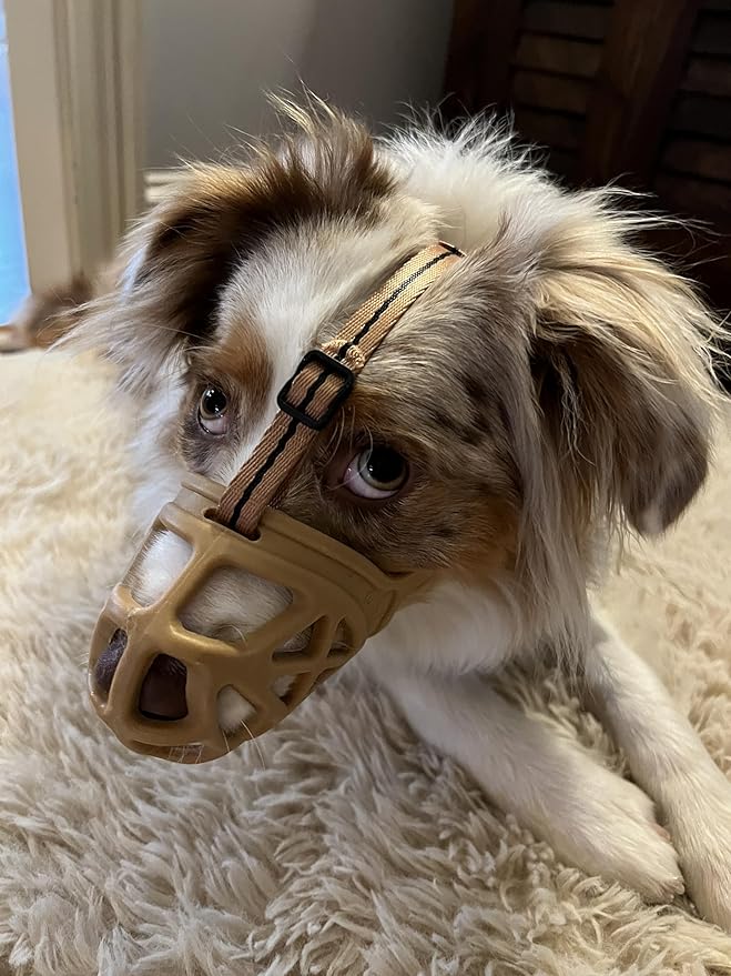 Mayerzon Dog Muzzle, Breathable Basket Muzzles for Small, Medium, Large and X-Large Aggressive Dogs Beagle German Shepherd Doberman, Cage Mouth Guard Stop Biting Chewing for Grooming Training-Mewly Pet