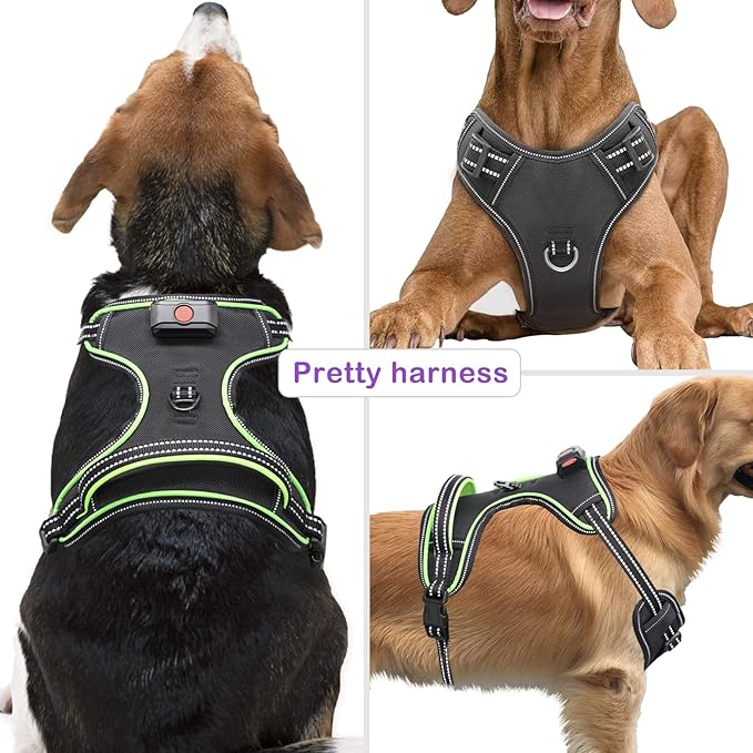 Rechargeable LED Dog Harness - No Pull, 4 Point Adjustable, Small/Medium/Large/X-Large Sizes-Mewly Pet