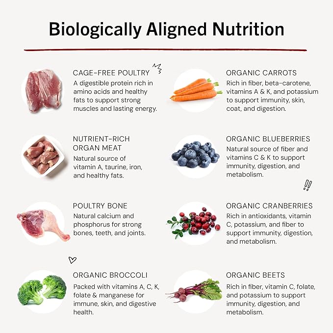 Stella & Chewy's Freeze-Dried Raw Dinner Patties - Duck Duck Goose Recipe - High Protein Grain-Free Puppy & Dog Food - Perfect For Picky Eaters - 25 oz-Mewly Pet