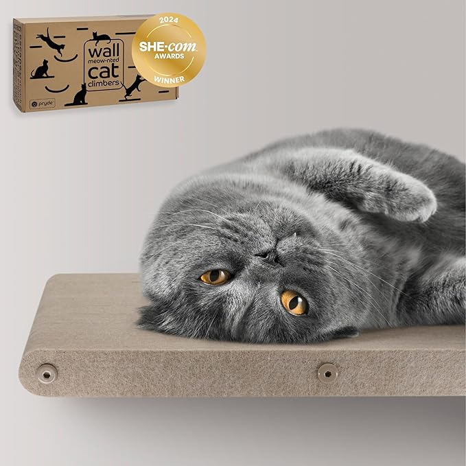 Wall Mounted Cat Perch Long Shelf by Pryde Pets - Floating Hammock Bed, 100% Sustainable PET Felt Feline Enrichment Climber Furniture for Indoor Cats, Modern Climbing Gym Jungle Design (Oatmeal)-Mewly Pet