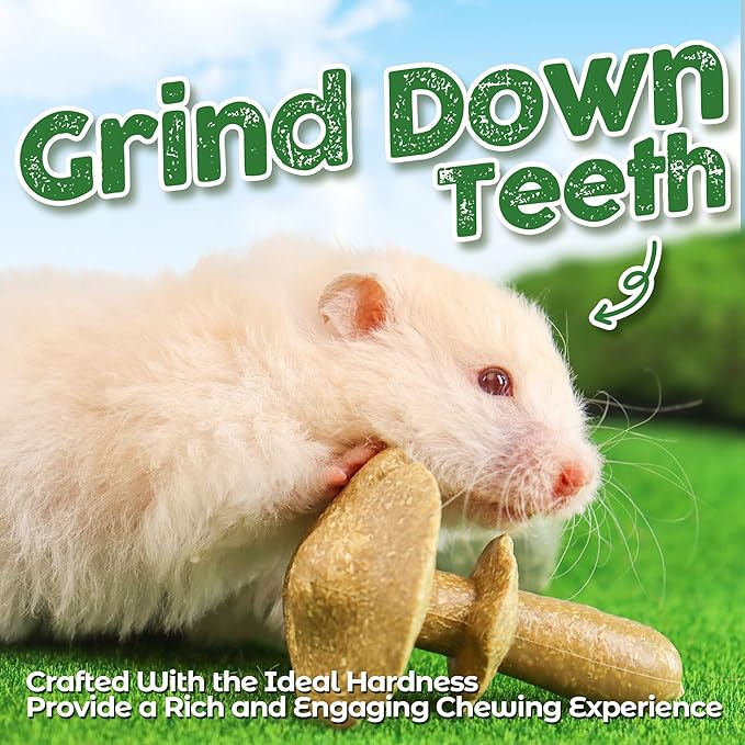 TEEWY 4PCS Guinea Pig Chew Toys, Prevent Teeth Overgrowth, Natural Vegetables and Timothy Grass, Hamster Chew Toys, Guinea Pig Toys, Chinchilla Toys, Grass Patch & Mushrooms-Mewly Pet