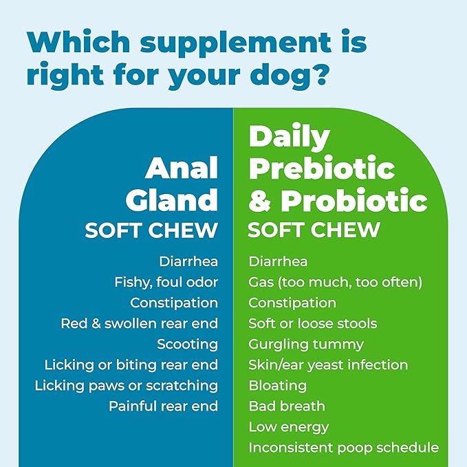 Vetnique Glandex Daily Probiotics for Dogs with Prebiotics to Support Gut Health with Fiber and Digestive Enzymes, Probiotic Chews or Powders (60ct Chews, Bacon Chews)-Mewly Pet