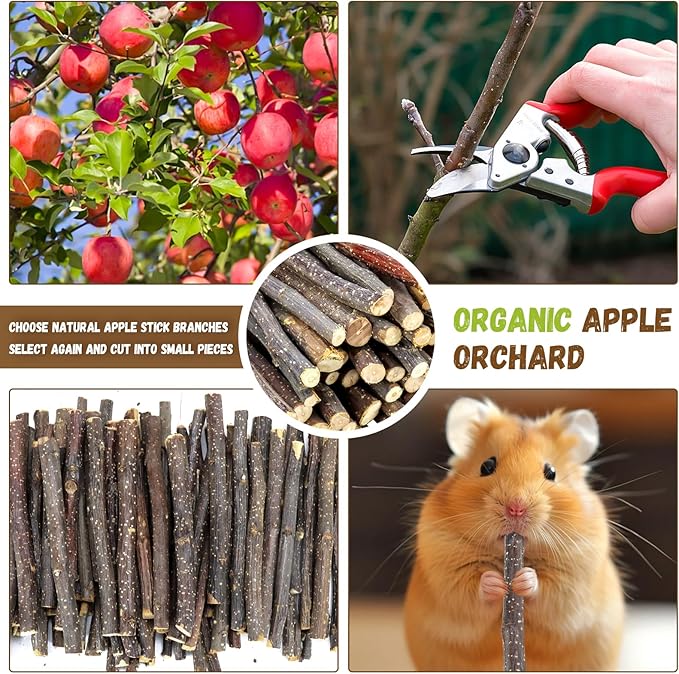 900g/2lb Small Apple Sticks Animals Molar Wood Treats Toys for Rabbits Chinchillas Guinea Pig Hamster Gerbil Parrot Bunny and Small Animals Chew Stick Toys Treats-Mewly Pet